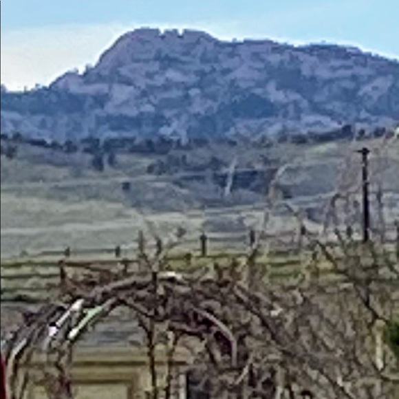 Meet your Posher, Bobbi - Picture 2 of 6